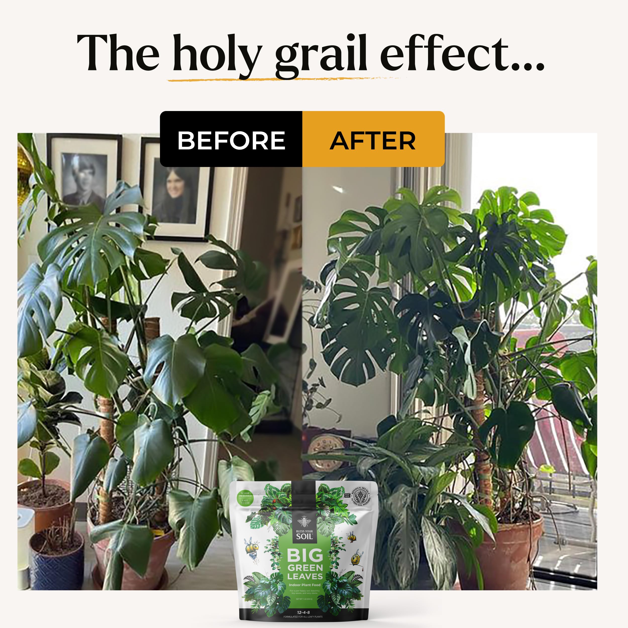 Bless Your Soil Big Green Leaves scoop demonstrates pre-measured dose for easy feeding