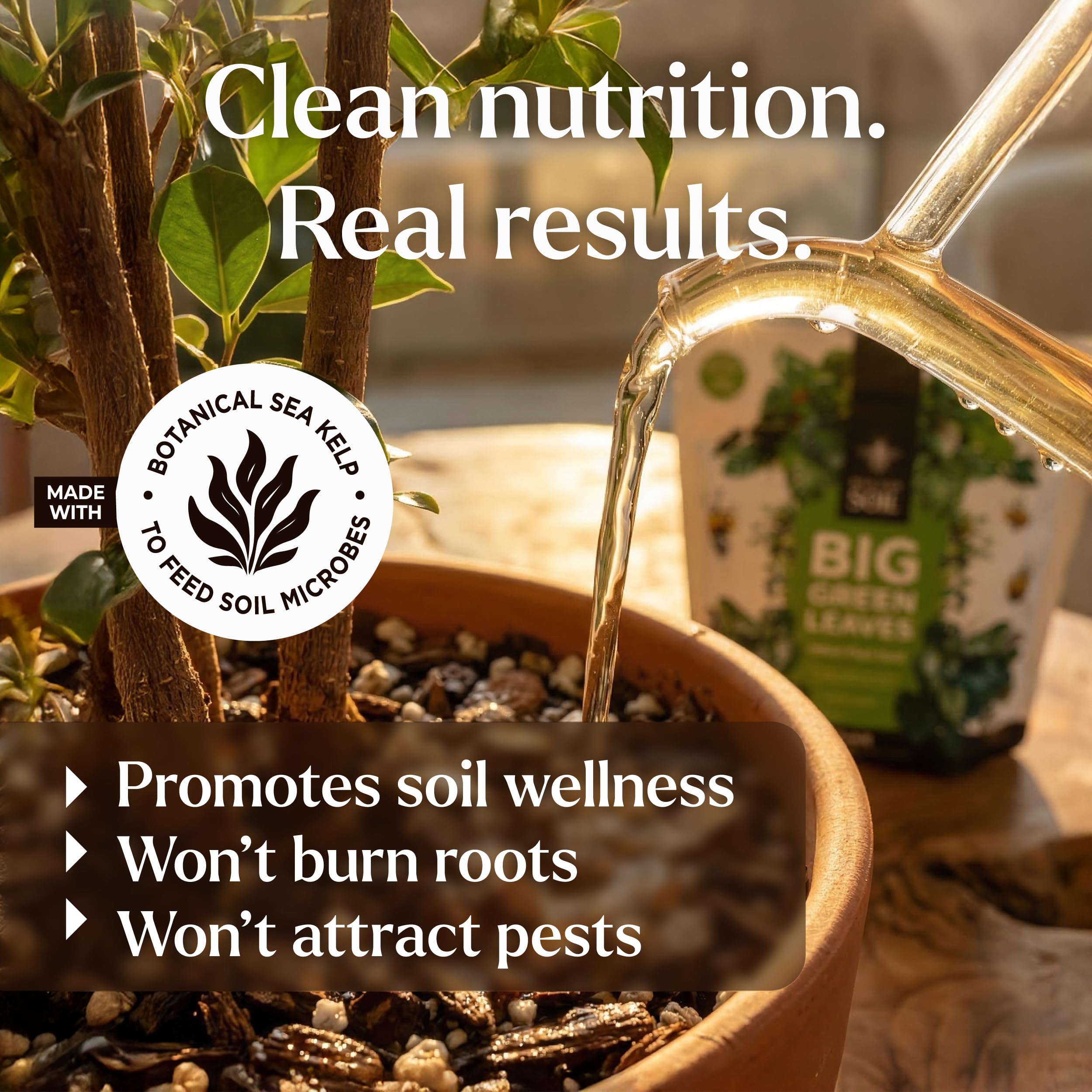 Bless Your Soil Big Green Leaves soil drench application supports root and soil microbes