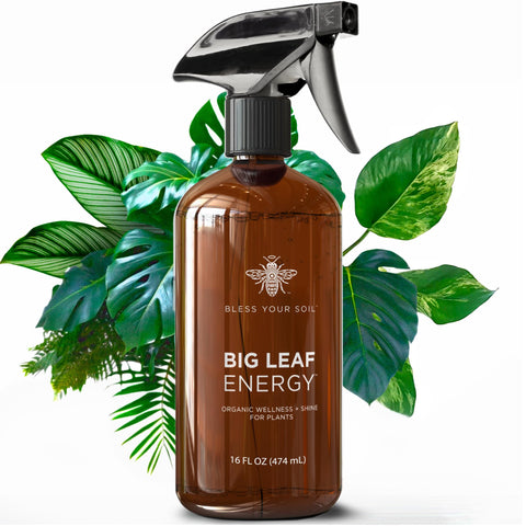 Bless Your Soil Big Leaf Energy bottle front with neem oil formula