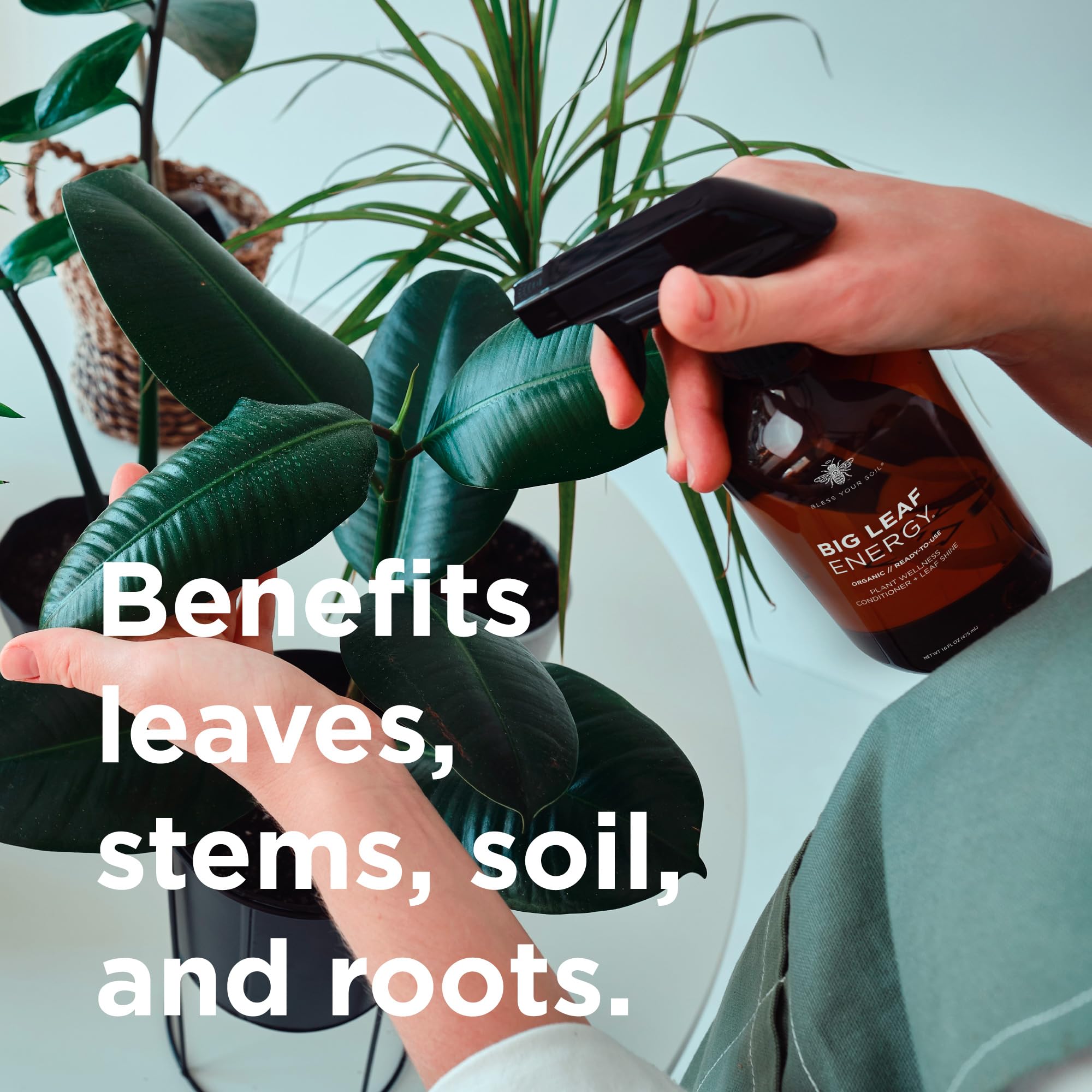 Bless Your Soil label close-up highlighting seven-oil blend