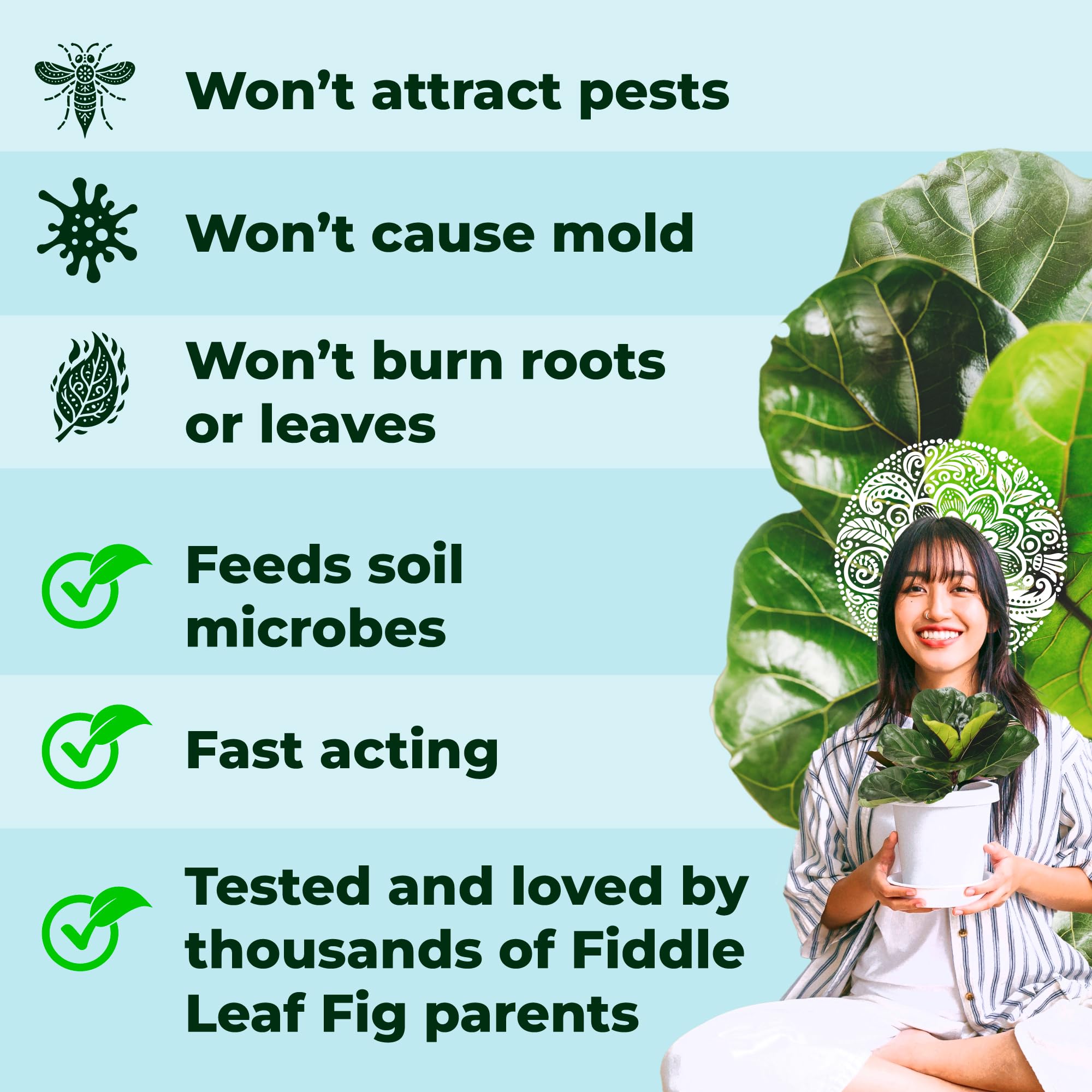 Bless Your Soil Fiddle Leaf Treats root microbiome close-up emphasizes soil vitality