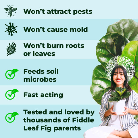 Bless Your Soil Fiddle Leaf Treats root microbiome close-up emphasizes soil vitality