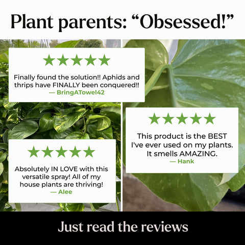 Bless Your Soil Neem Oil Spray aroma close-up with earthy citrus notes.