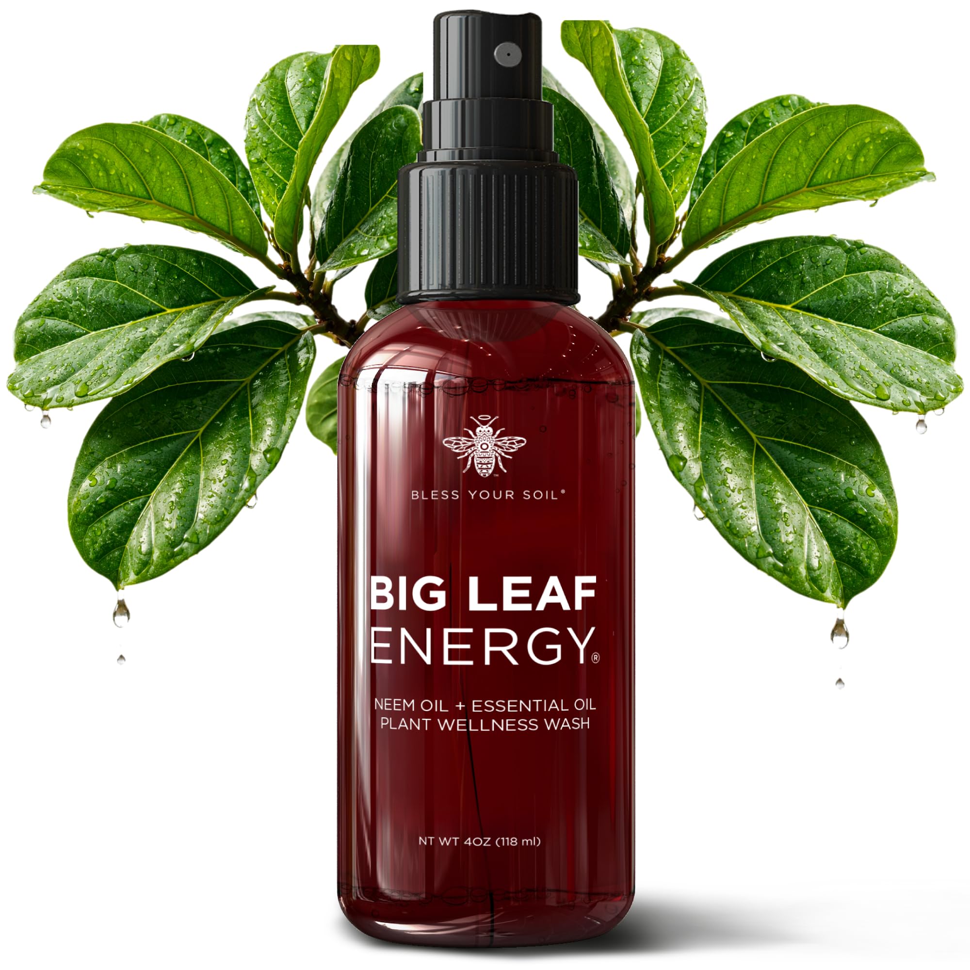 Bless Your Soil Neem Oil Spray bottle front for easy indoor plant care.