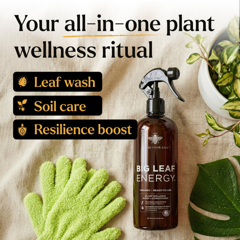Bless Your Soil Neem Oil Spray being diluted for lighter applications.