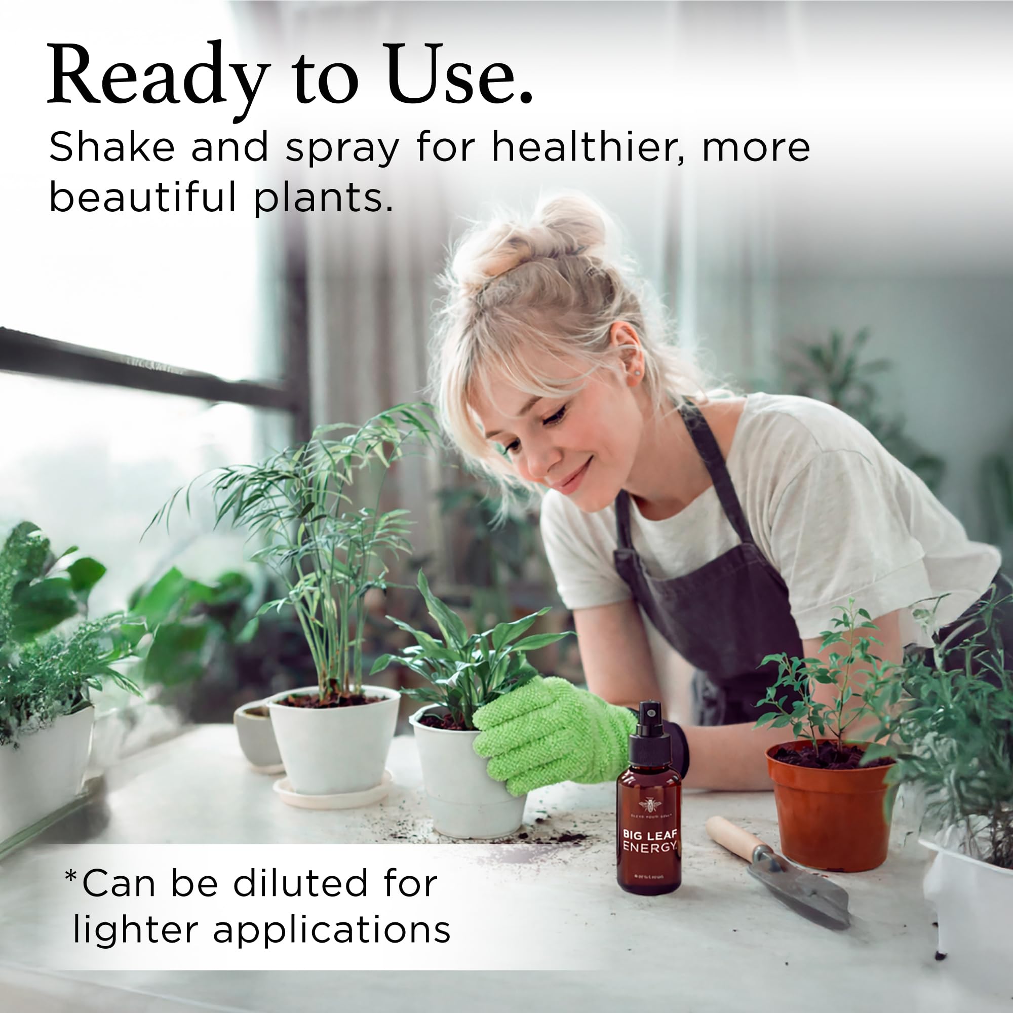 Leaves show natural shine after application with Bless Your Soil Neem Oil Spray.