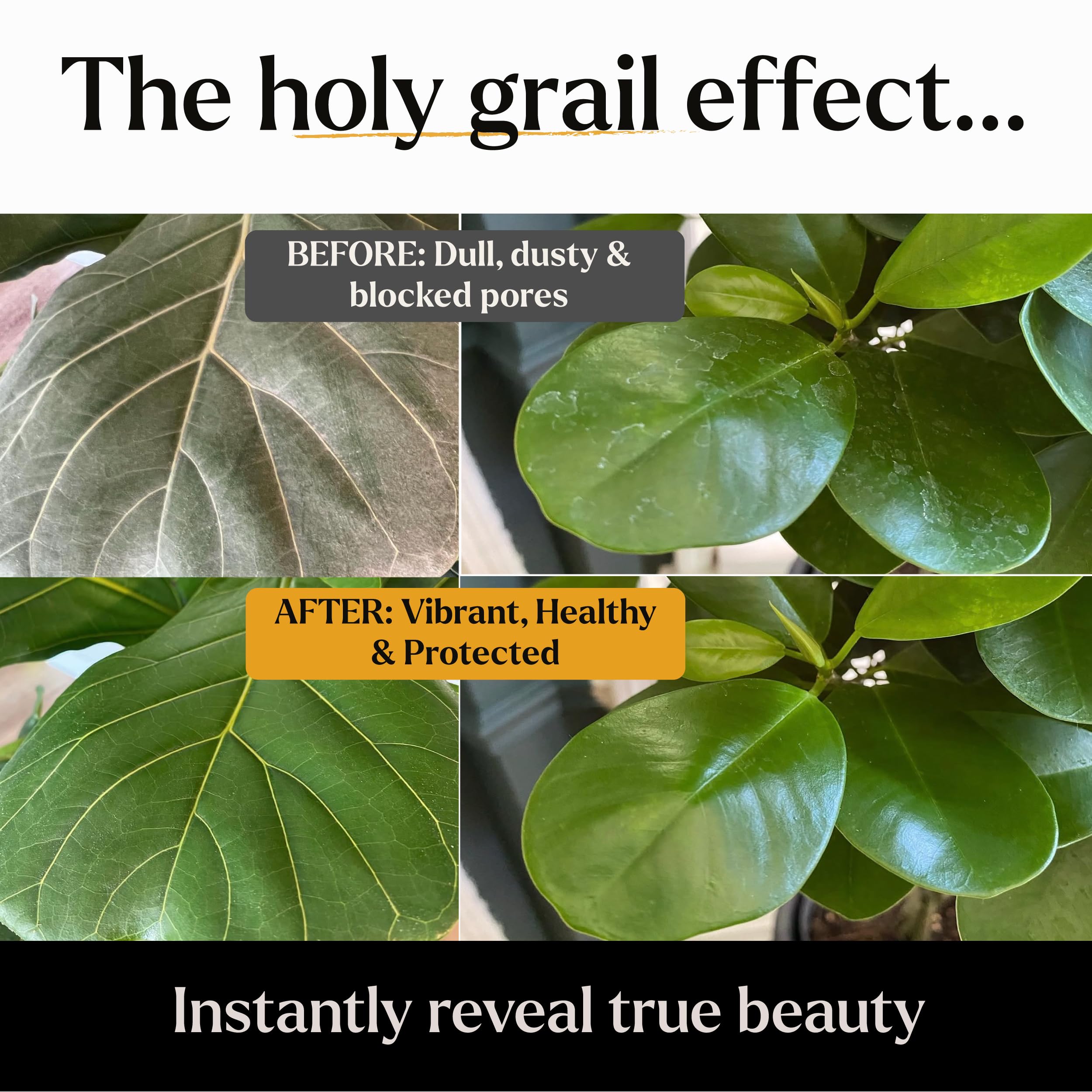 Bless Your Soil Neem Oil Spray misting indoor leaves for healthy care.