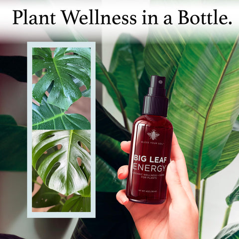 Bless Your Soil Neem Oil Spray mist head delivering even leaf coverage.