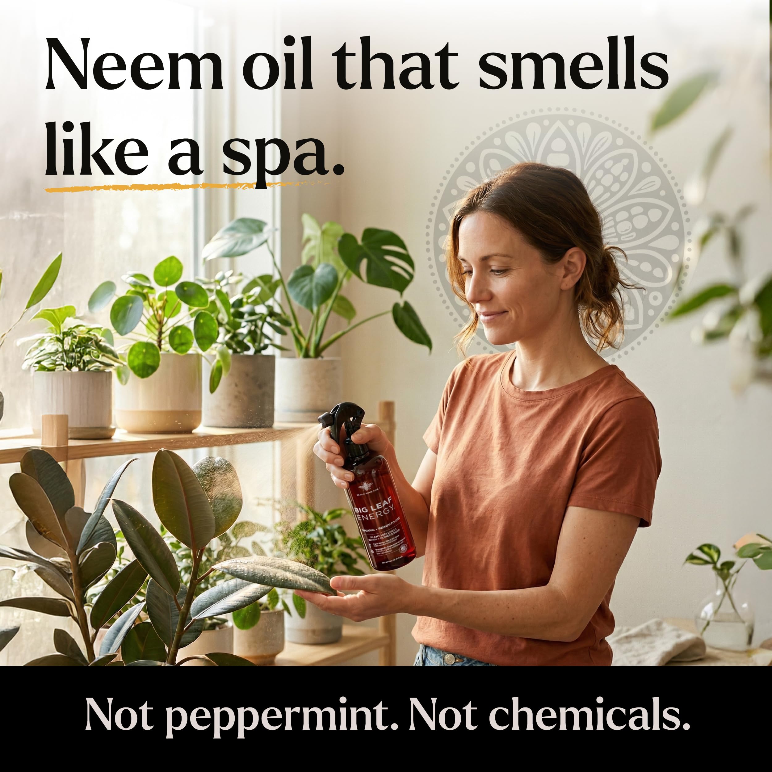 Bless Your Soil Neem Oil Spray used on outdoor garden foliage.