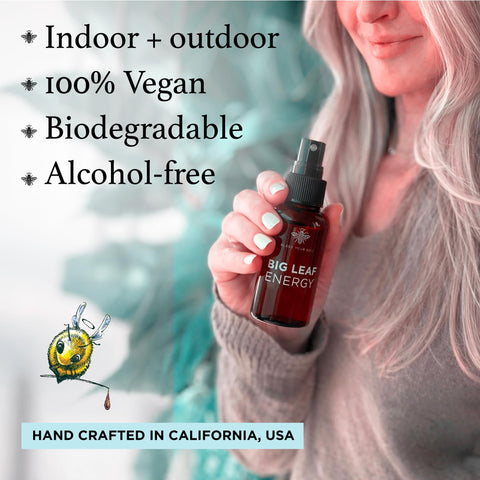 Outdoor garden plants receive Bless Your Soil Neem Oil Spray care.