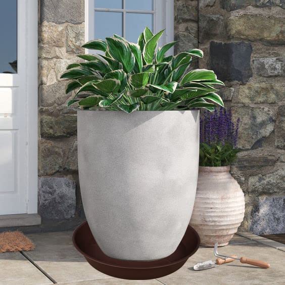 Bleuhome 22 inch plant saucer overflow tray catching drips from pots