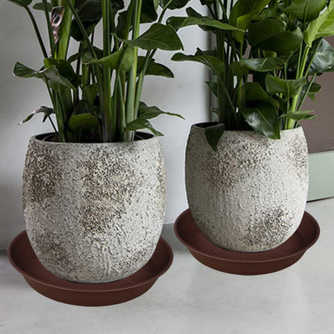 Bleuhome 22 inch plant saucer weather-ready for outdoor conditions