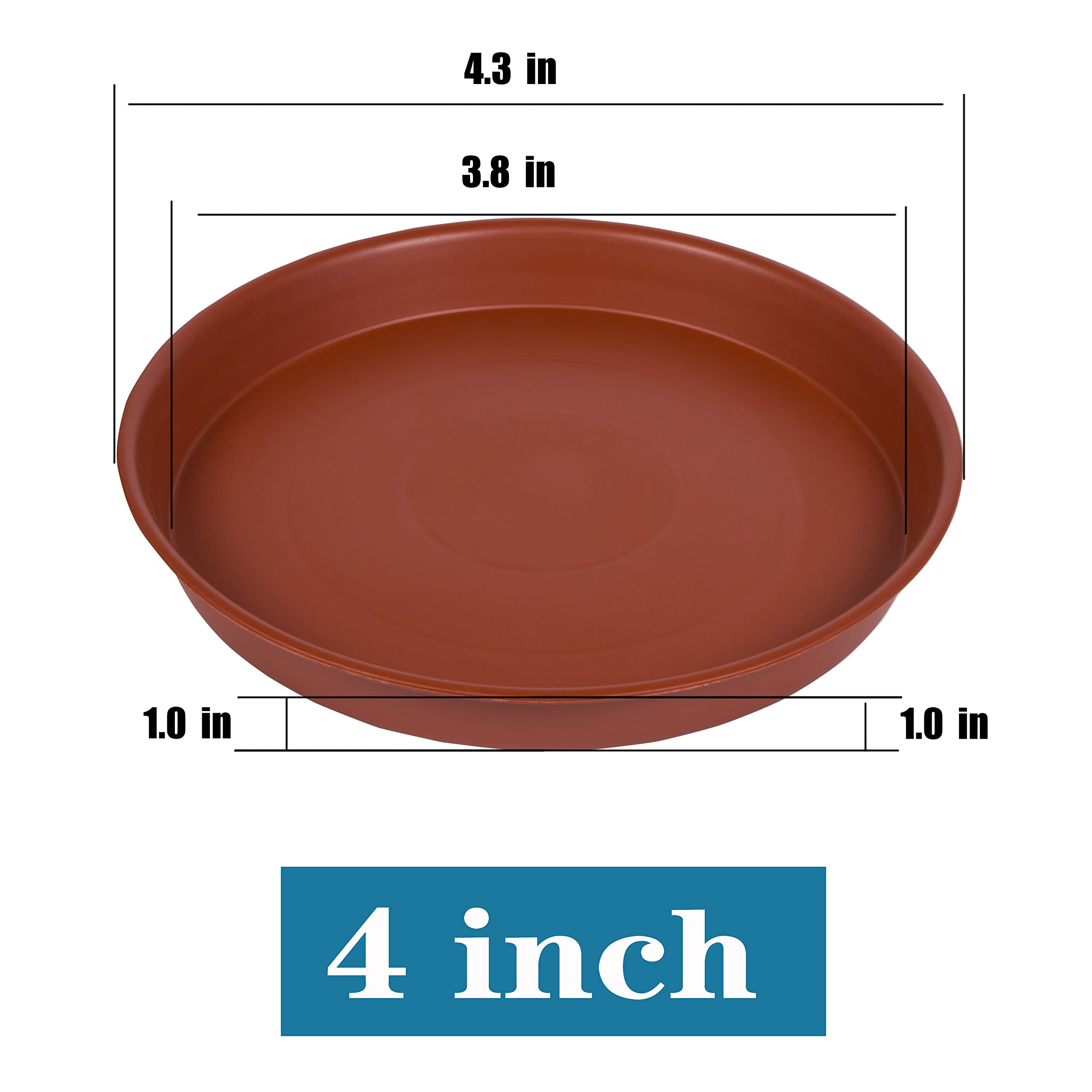 Bleuhome 4 inch water catchment plant saucer keeps indoor setups clean and dry.