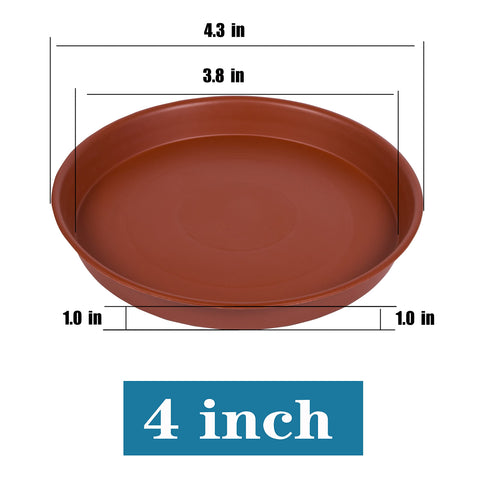 Bleuhome 4 inch water catchment plant saucer keeps indoor setups clean and dry.