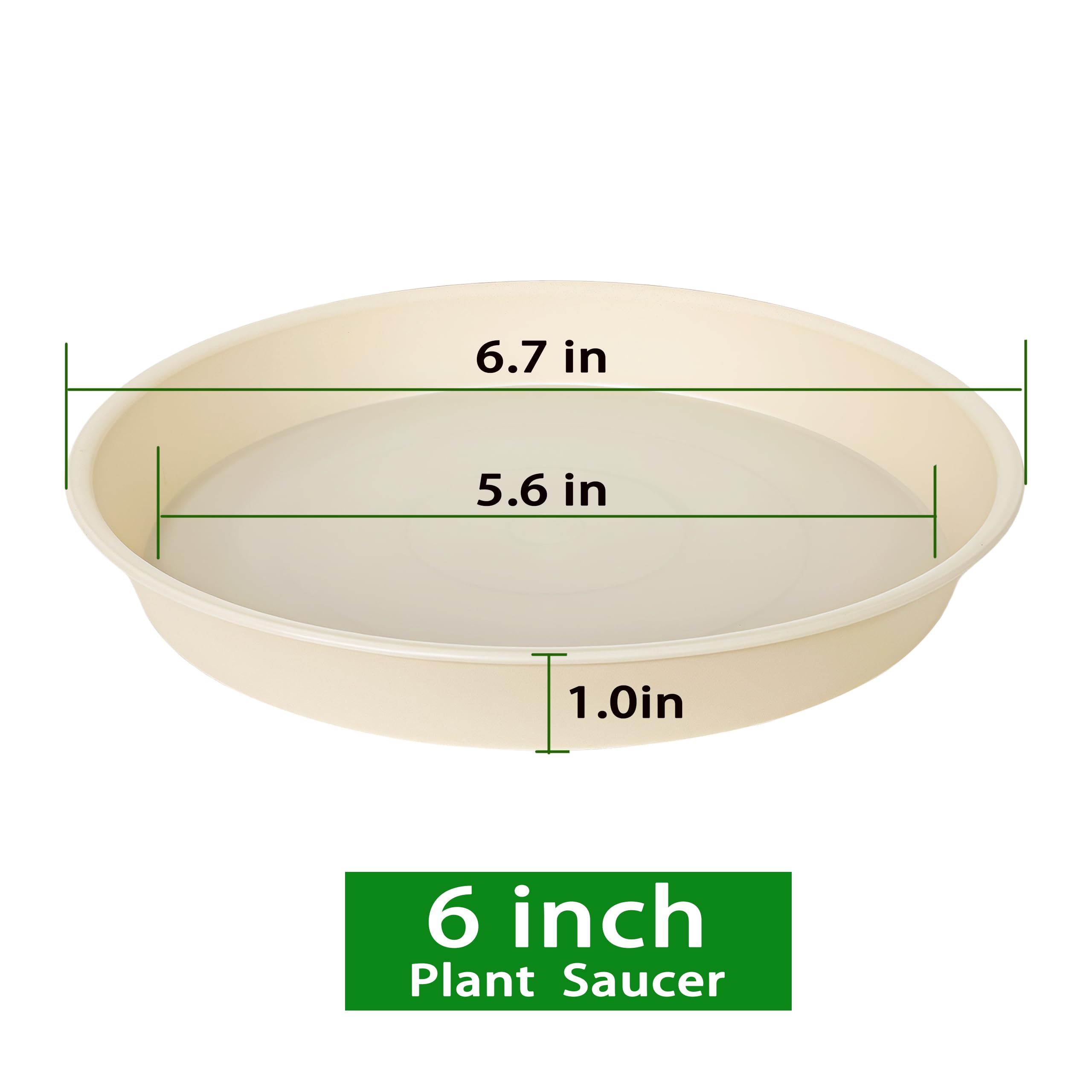 Bleuhome 6-inch beige plant saucer edge detail highlights sturdy construction.