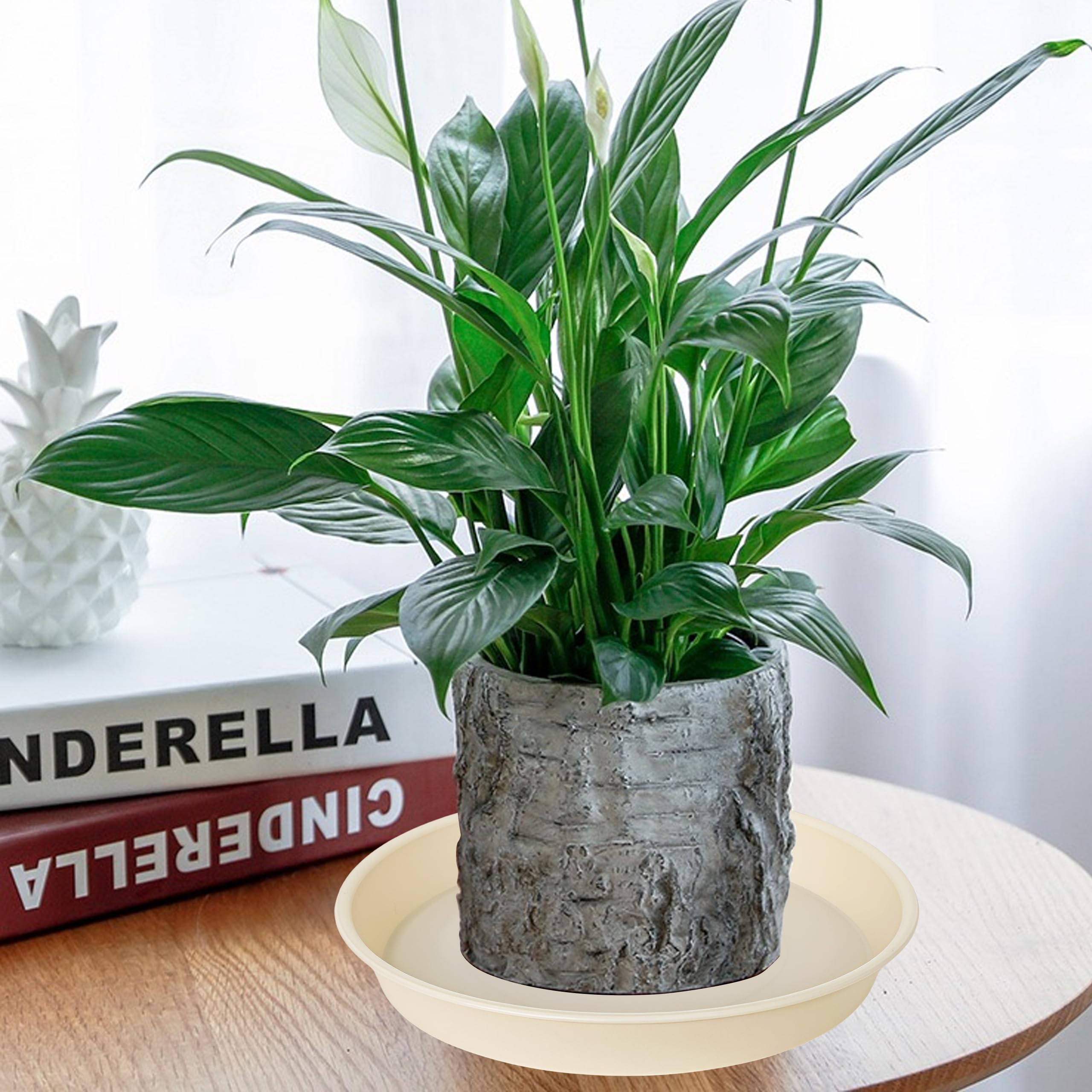 Bleuhome 6-inch beige plant saucer material close-up of durable PP plastic.