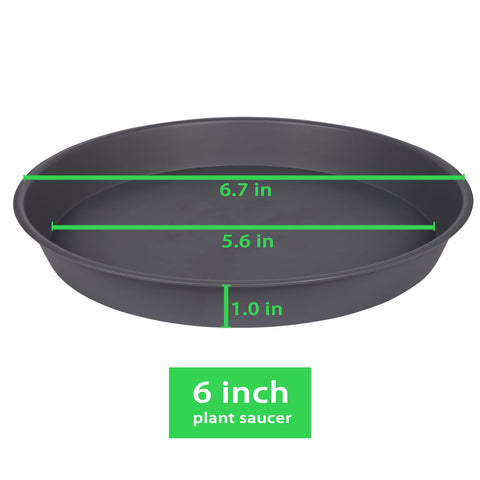 Bleuhome 6-pack planter saucer gray side angle demonstrates drip containment for pots.
