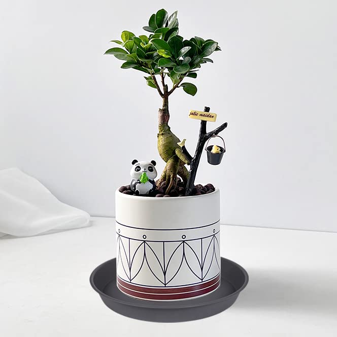 Bleuhome 6-pack planter saucer gray with assorted pots for indoor versatility.