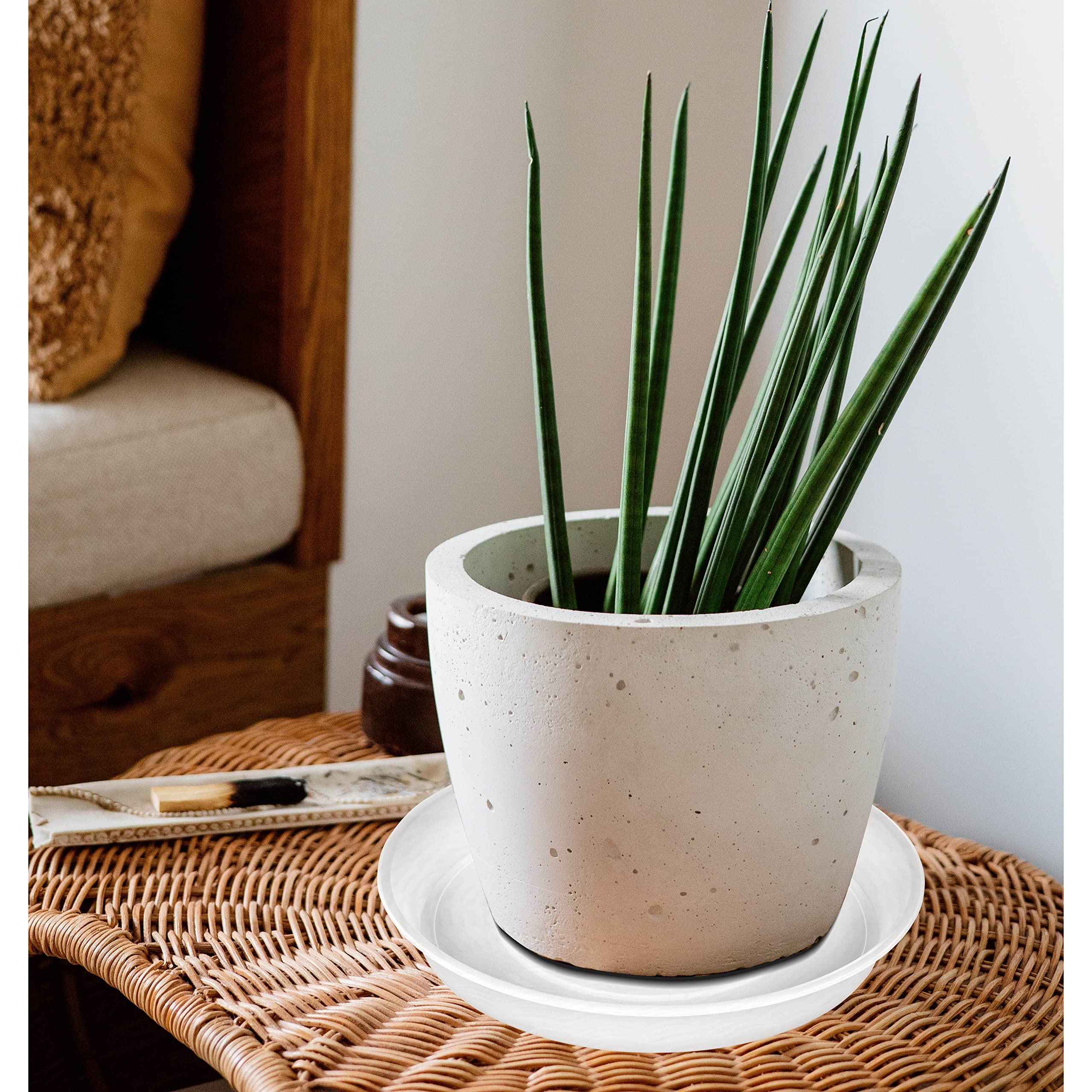 Bleuhome 6-pack plastic plant saucers packaging shot illustrates bulk value for multiple pots