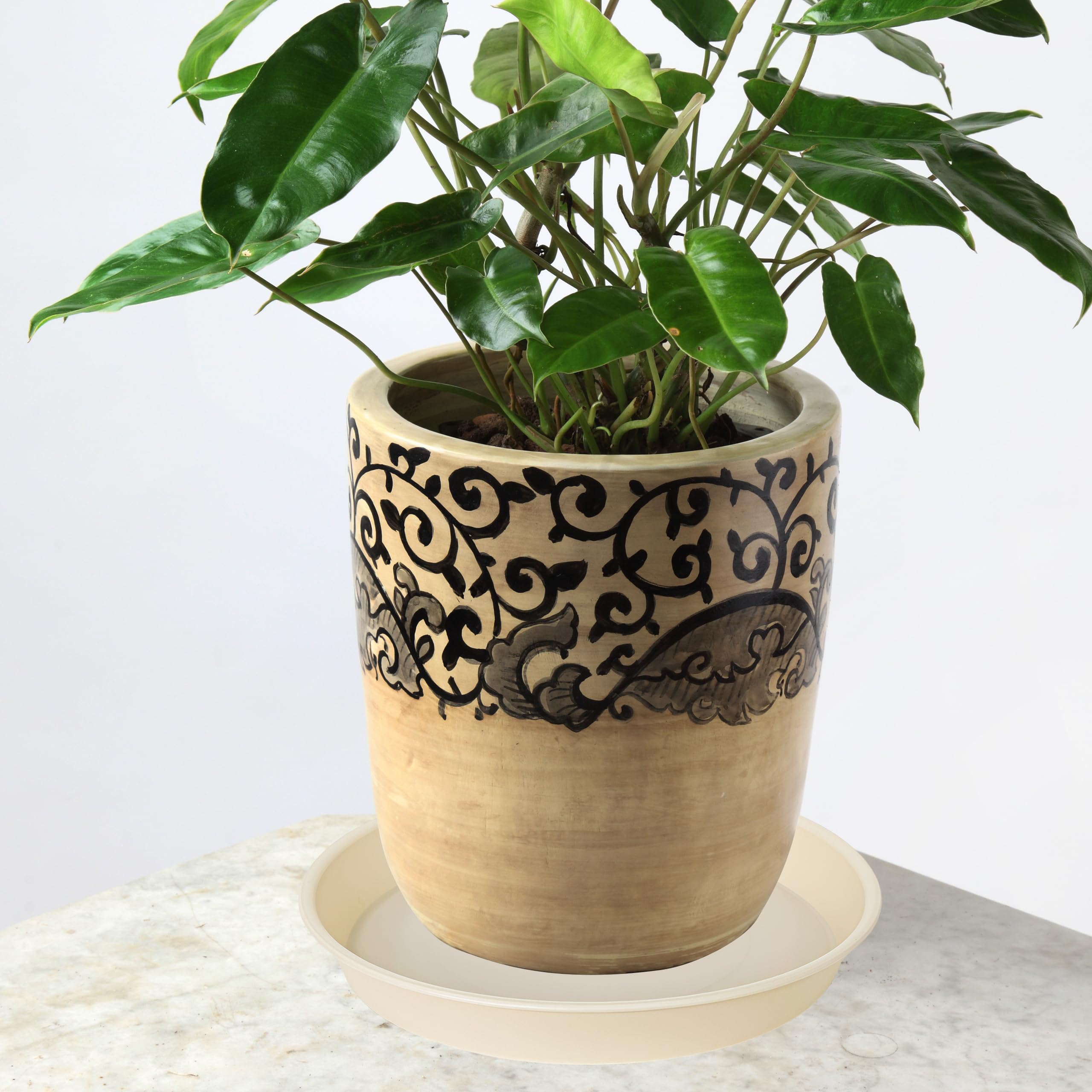 Bleuhome beige plant saucer setup with bird-bath idea for garden use.