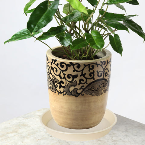 Bleuhome beige plant saucer setup with bird-bath idea for garden use.