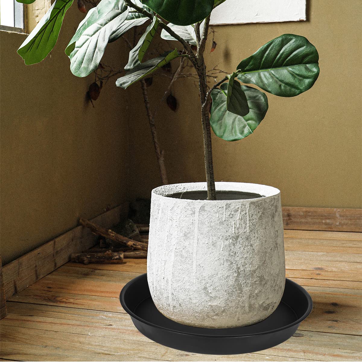 Bleuhome plant saucer doubles as a bird bath for water.
