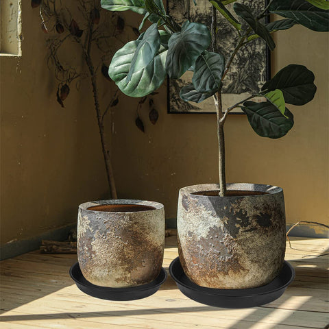Bleuhome bird-friendly tray can serve as a simple feeder and garden accent.