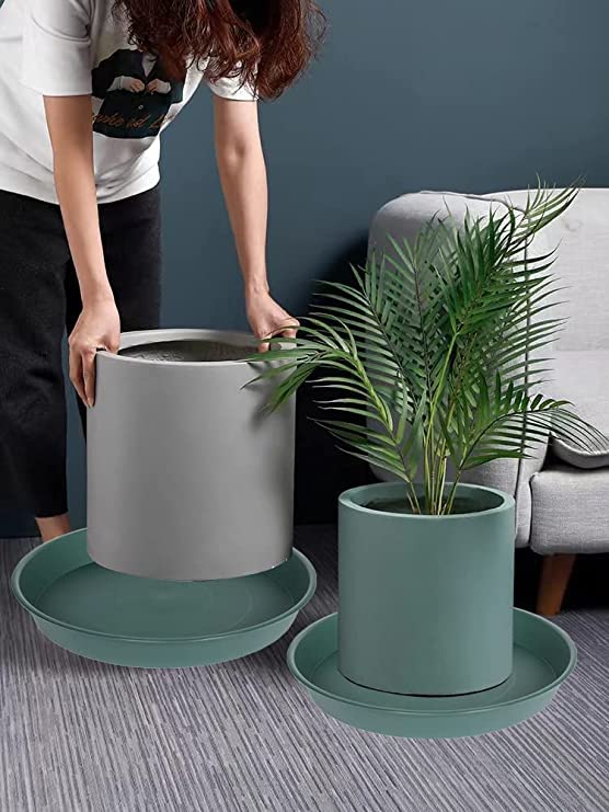Bleuhome 8-inch green bird bath bowl featured as garden decor touch.