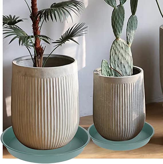 Bleuhome 8-inch green bird bath bowl in use with water for birds.