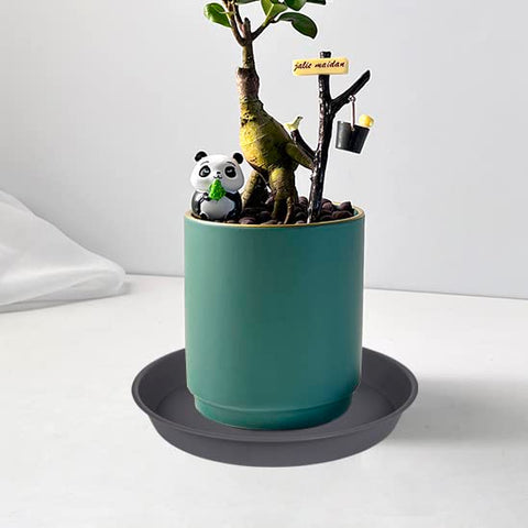Bleuhome compact 6-inch drainage tray set complements minimalist plant styling.
