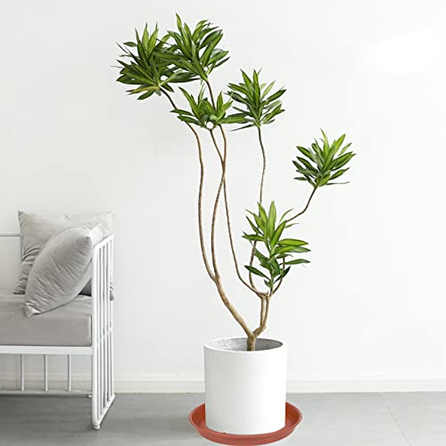 Bleuhome dark-brown 10-inch saucer; durable matte finish for planter pairing