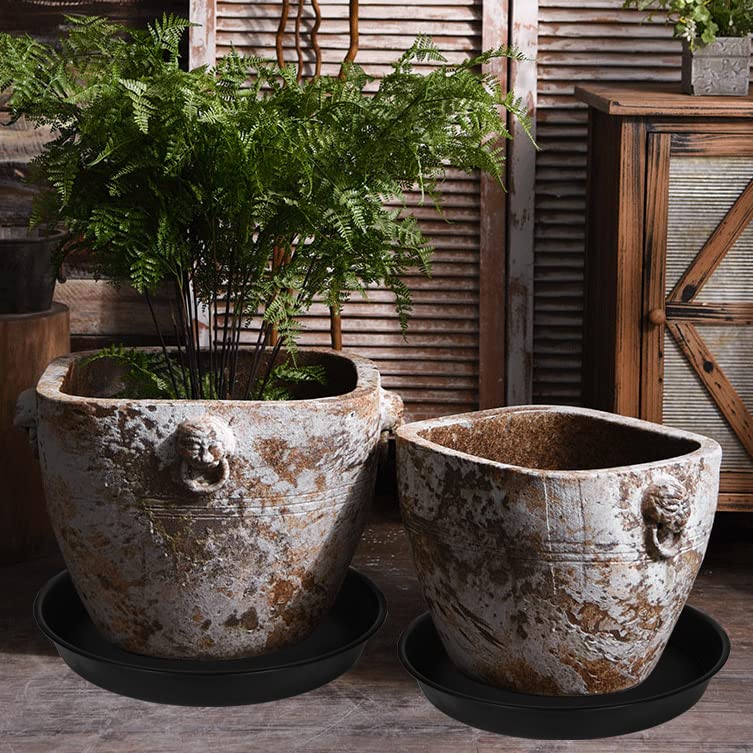 Bleuhome durable PP plastic plant saucer for indoor and outdoor use.