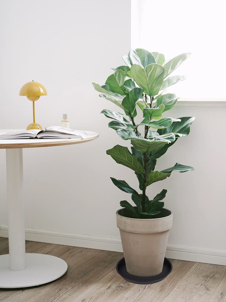 Bleuhome garden scene shows bird feeder function and subtle decor.