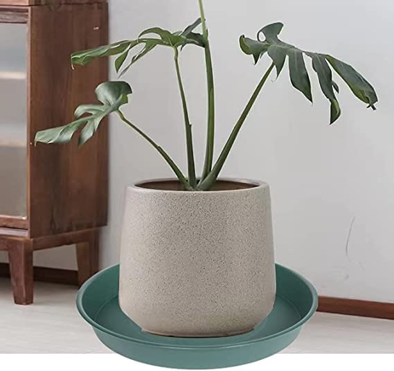 Bleuhome garden decor bird bath setup adds charm to outdoor space