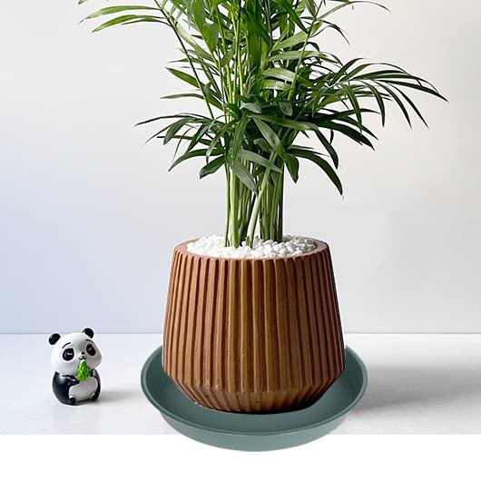 Bleuhome green plant saucer 6-inch deep; fits small planters