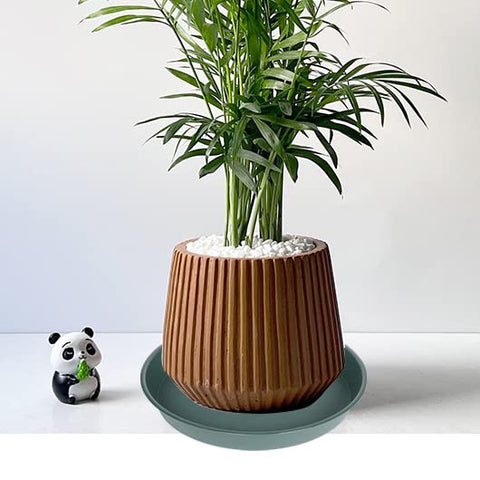 Bleuhome green plant saucer 6-inch deep; fits small planters