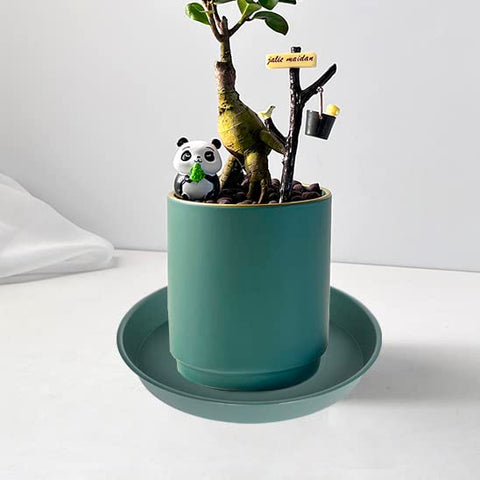 Bleuhome green plant saucer 6-inch in use; catches water to protect furniture
