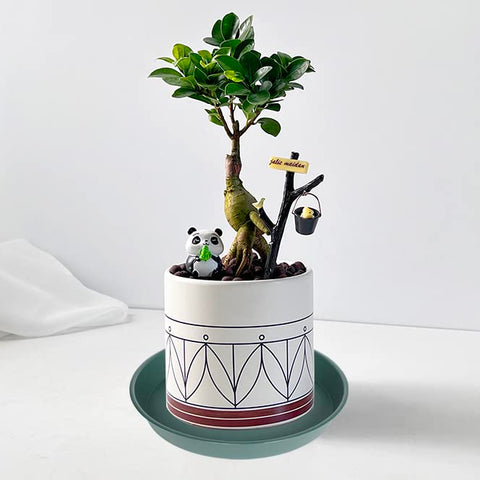 Bleuhome green plant saucer 6-inch indoor-outdoor; durable for all seasons