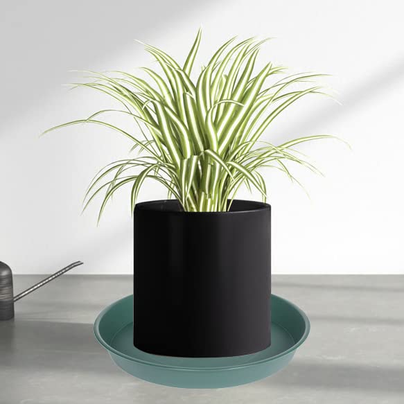 Bleuhome green plant saucer 6-inch pack display; space-saving storage