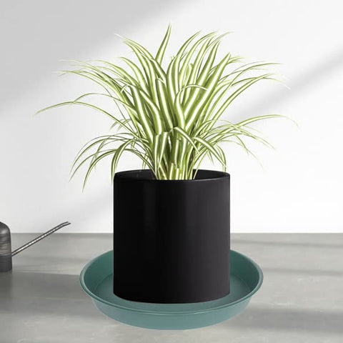 Bleuhome green plant saucer 6-inch pack display; space-saving storage