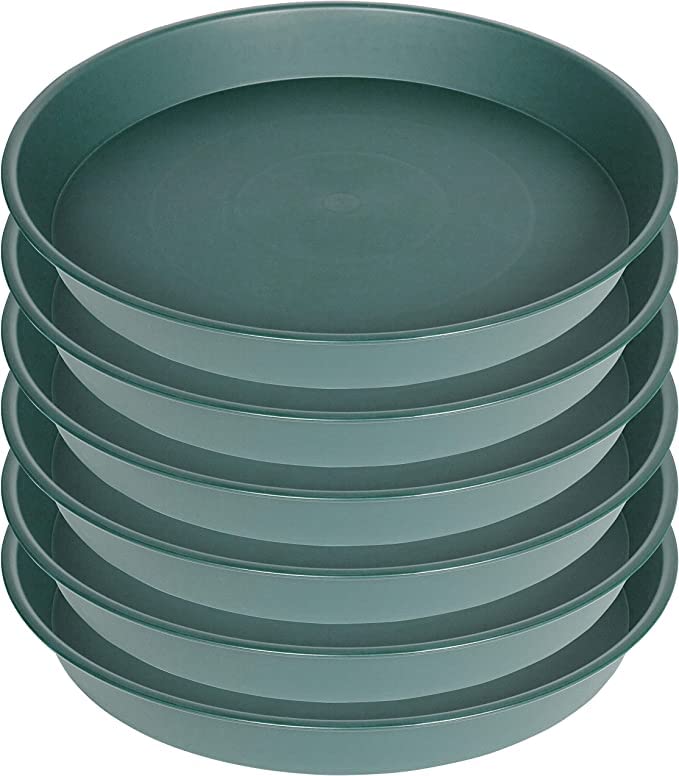 Bleuhome green plant saucer 6-inch top view; durable drip tray protects surfaces