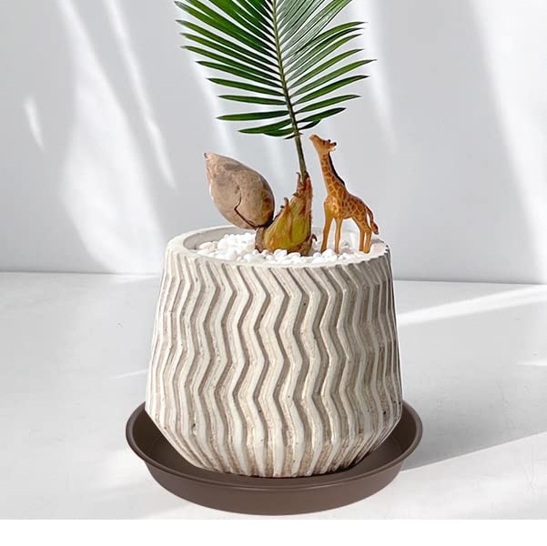 Ideal for indoor use and outdoor patios with Bleuhome saucer