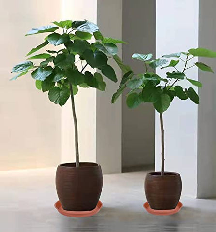 Bleuhome indoor-outdoor 10-inch plant saucer; versatile for any room or patio