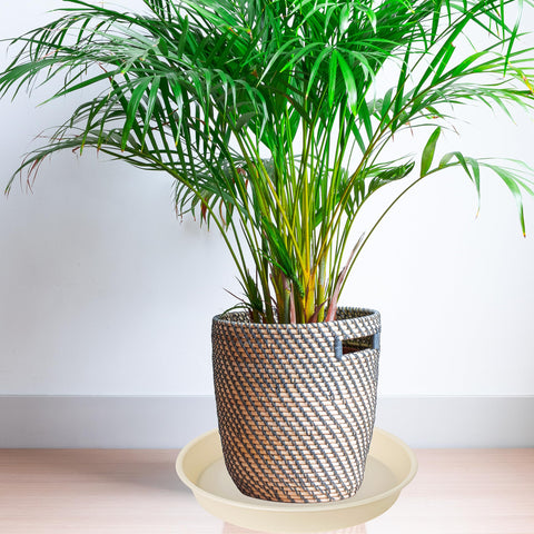 Bleuhome indoor-outdoor use beige plant saucer suitable for patios and shelves.