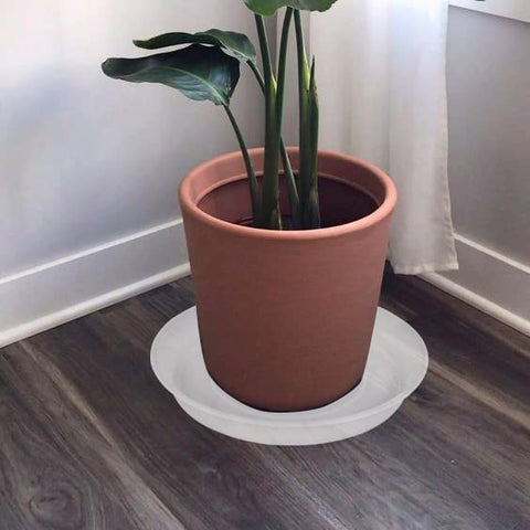 Bleuhome indoor outdoor friendly saucer in clear finish.