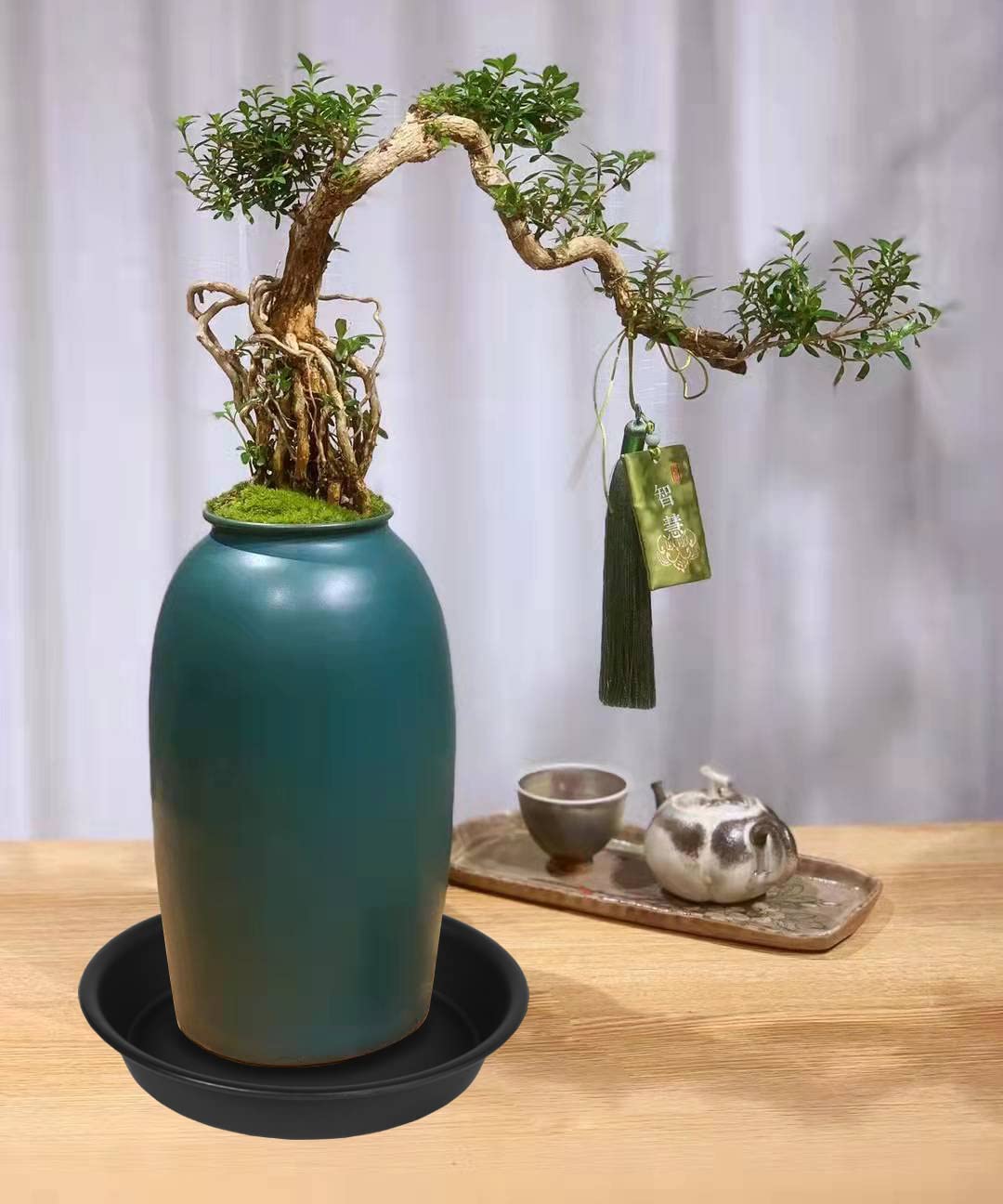 Bleuhome indoor plant saucer tray suitable for office or home