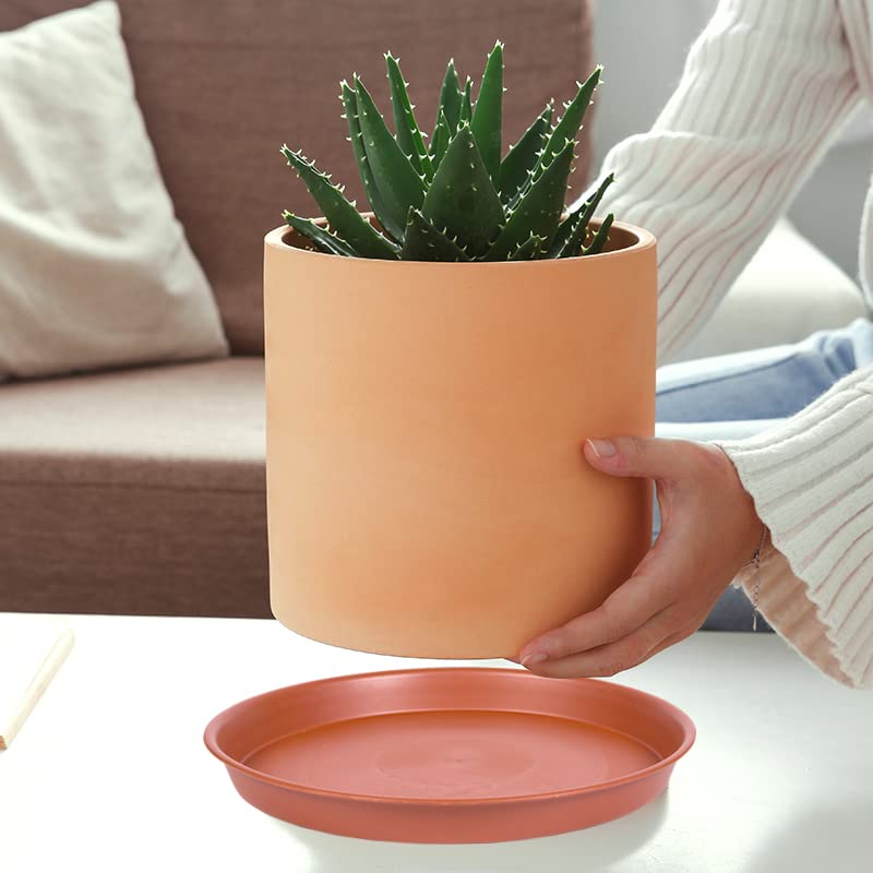 Bleuhome matte finish terracotta saucer blends with planter styles