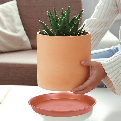 Bleuhome matte finish terracotta saucer blends with planter styles