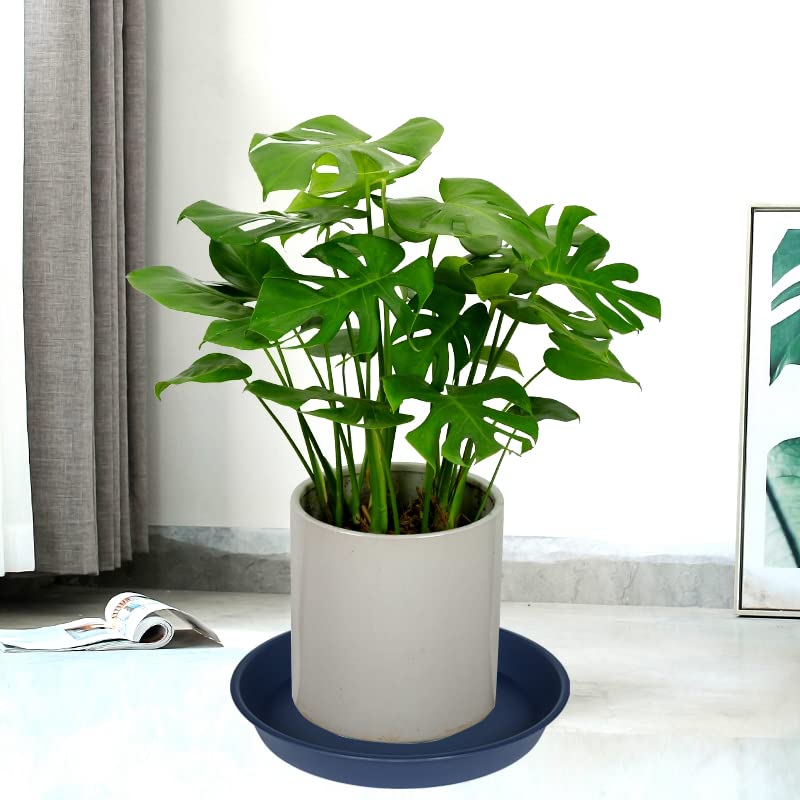 Bleuhome 12-inch blue plant saucer with matte finish for indoor planters.