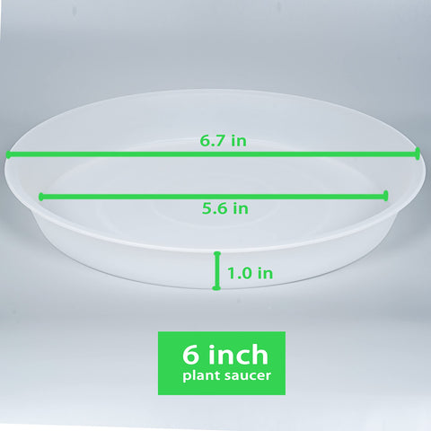 Bleuhome 6-inch clear saucer top view shows slim profile blending with pots.